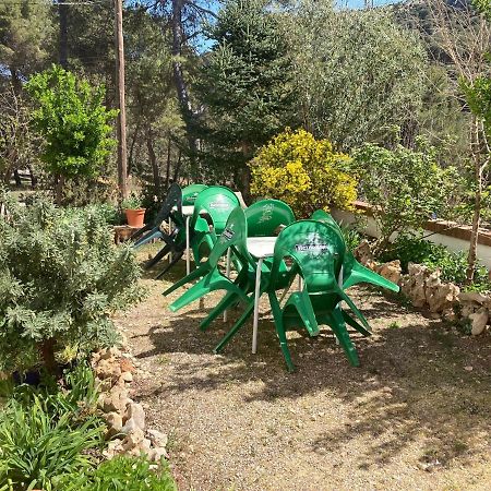 Pozo Alcón Alojamiento Rural Economato المظهر الخارجي الصورة